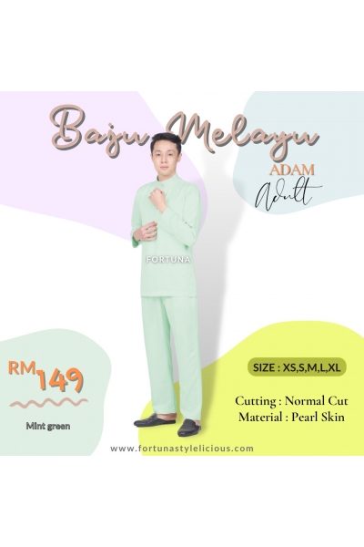 Baju Melayu Adam Adults (Mint Green) Baju Melayu Adam Adults (Mint Green)